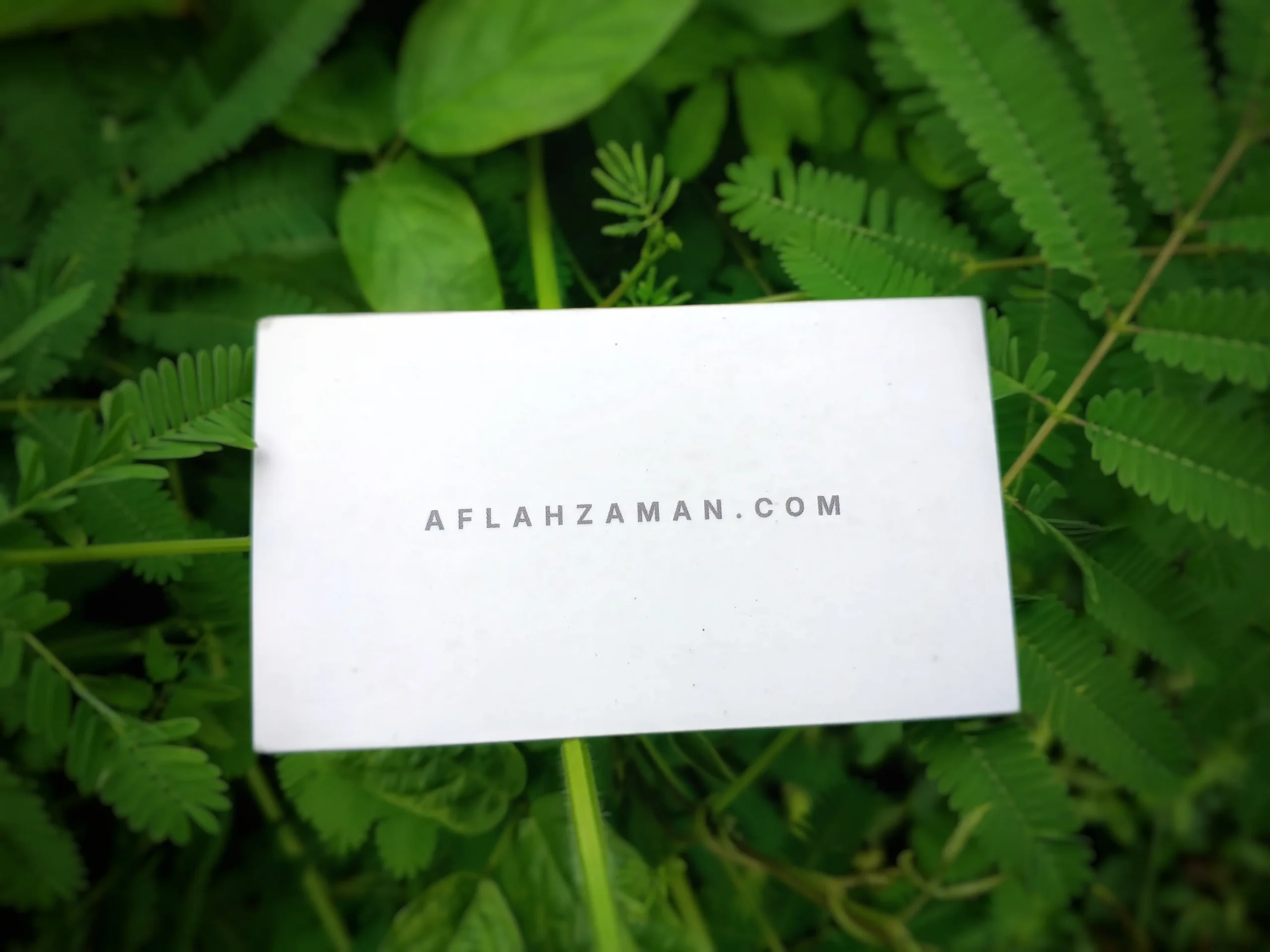 Aflah Zaman brand identity designer business card with forest background