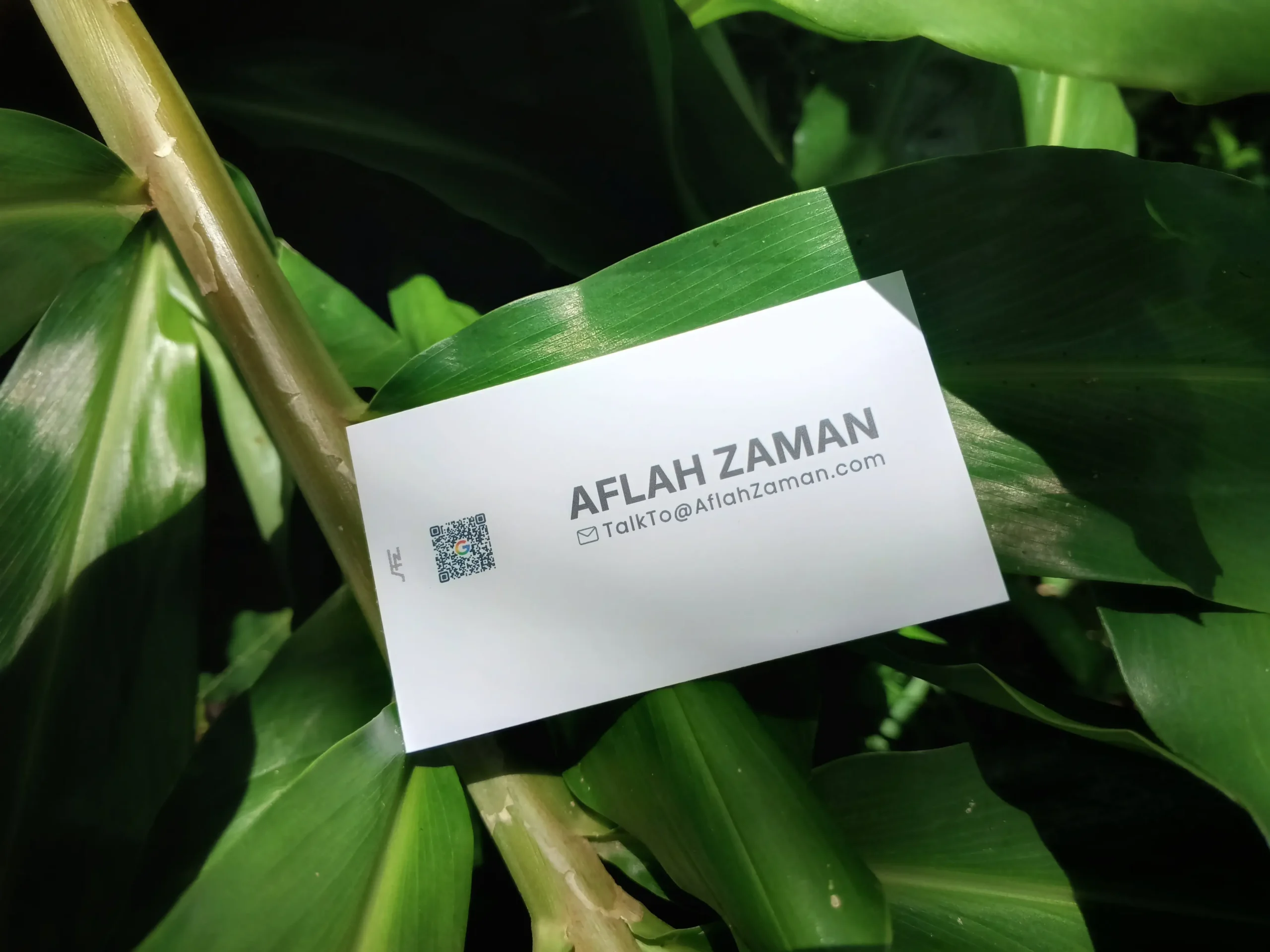 Aflah Zaman's Business Card with qr code on green foliage